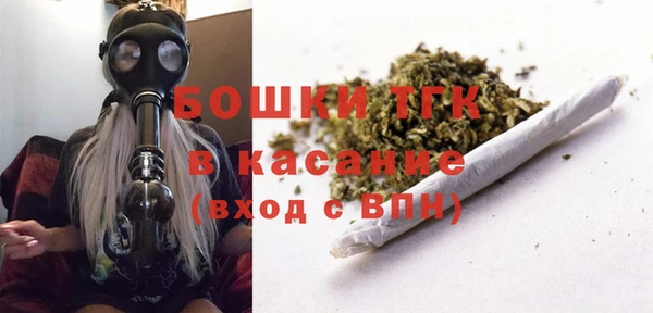 МДПВ Гусев