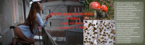 молекула духа Горно-Алтайск