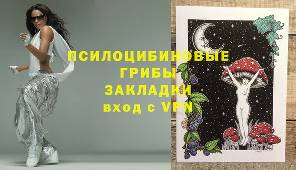 гидра Гусиноозёрск