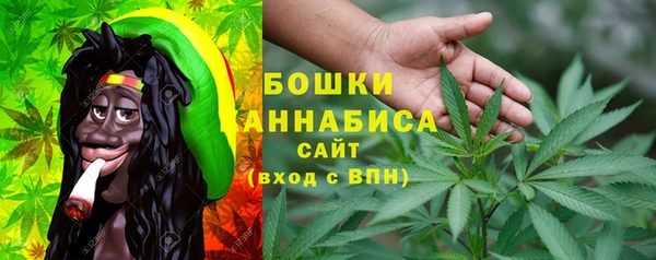 молекула духа Горно-Алтайск